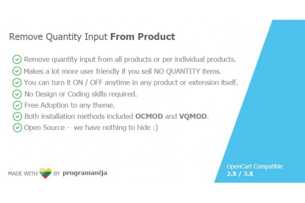 Remove Quantity Input From Product